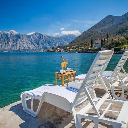 Daria Apartments Kotor Zewnętrze zdjęcie